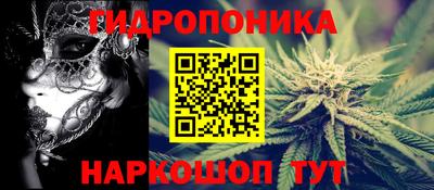 индика Ликино-Дулёво