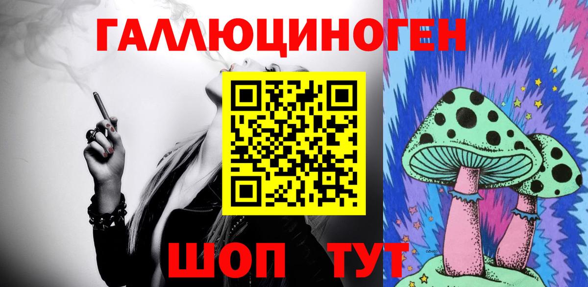Псилоцибиновые грибы Psilocybe Горячий Ключ