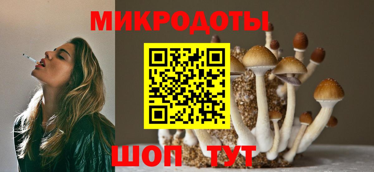 Псилоцибиновые грибы Psilocybe  Вход с VPN  Горячий Ключ 